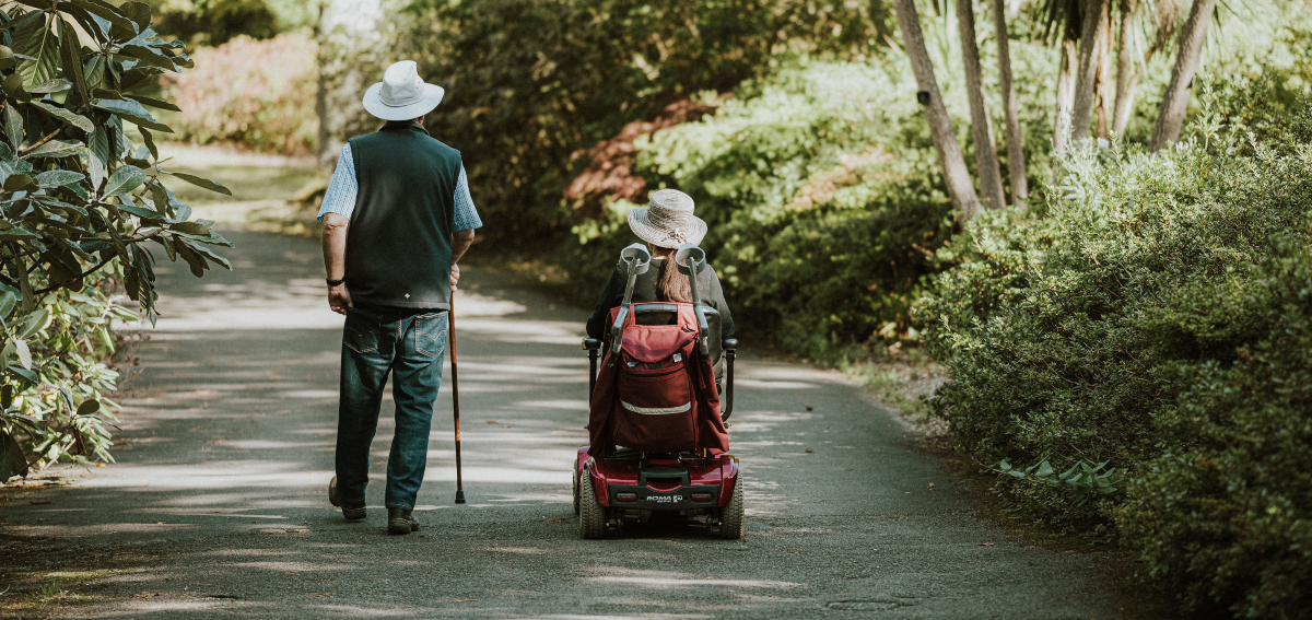 Auditing accessible walks in Australia Victoria Walks article audit tool (Image Annie Spratt, Unsplash)